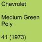 Preview: Chevrolet, Medium Green Poly, 41 (1973).